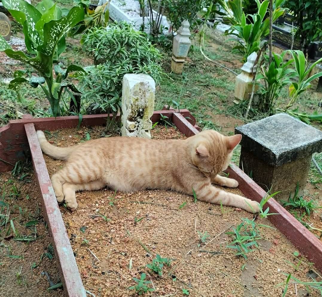 Slide 4